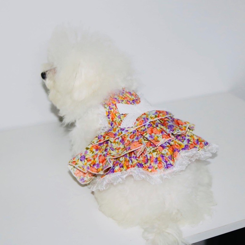 Đầm công chúa dễ thương cho thú cưng CARAPETS