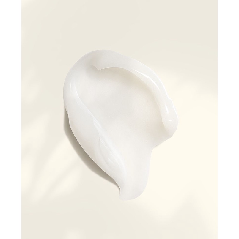 Thạch hoa hồng dưỡng ẩm (kem dưỡng ẩm) Cocoon cấp ẩm &amp; nuôi dưỡng 30ml