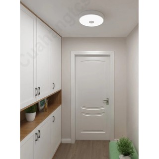 Đèn LED mini ốp trần cảm ứng Yeelight XM
