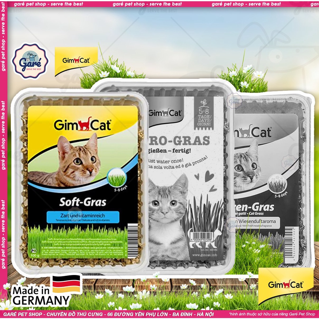 Bộ trồng cỏ mèo Gimcat Hydro-Gras, Soft-Gras, Katzen-Gras siêu dễ trồng không dùng đất - Gimcat Hydro-Gras