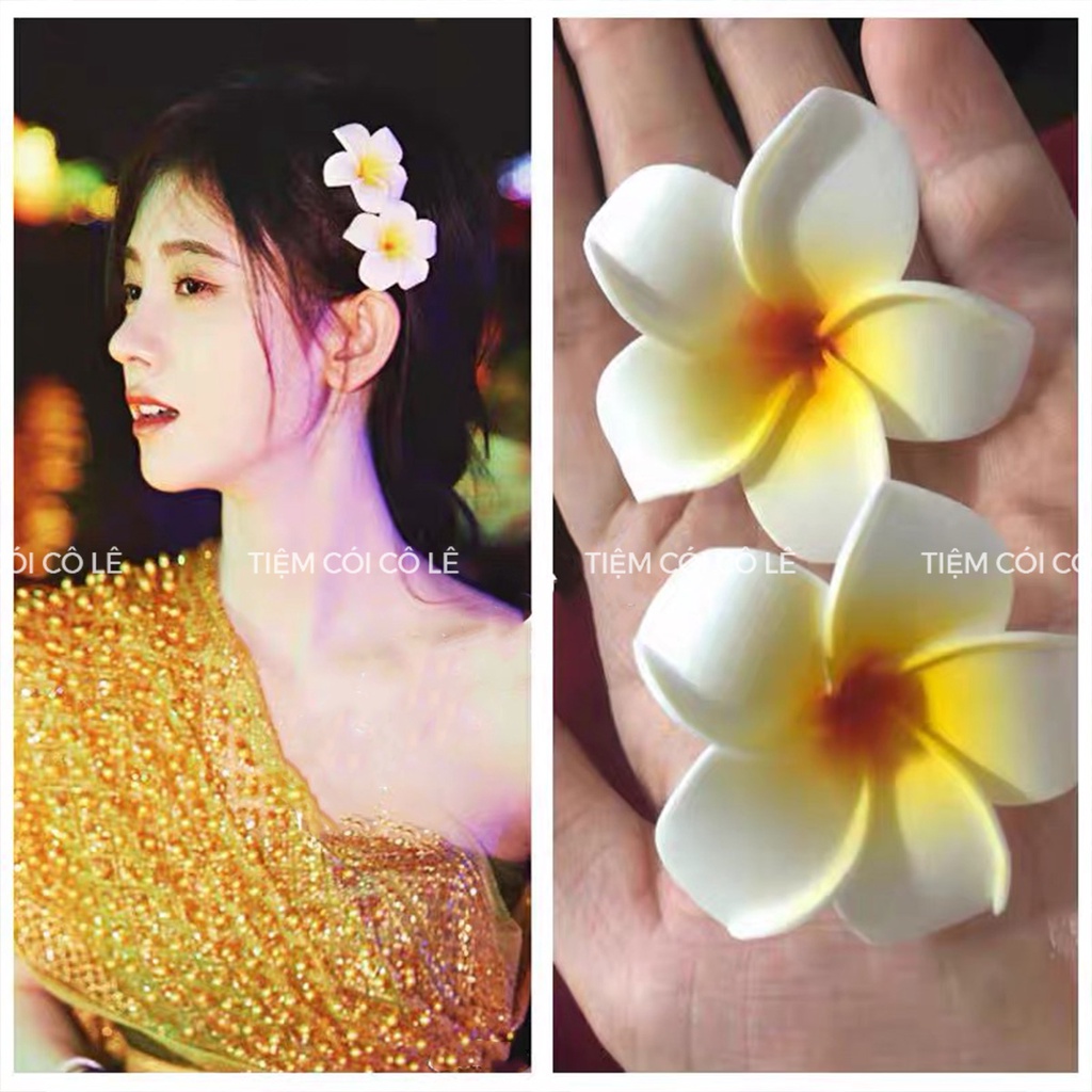 Hoa đại cài tóc, phụ kiện cài tóc đi biển siêu xinh cho bạn gái - Tiệm Cói Cô Lê
