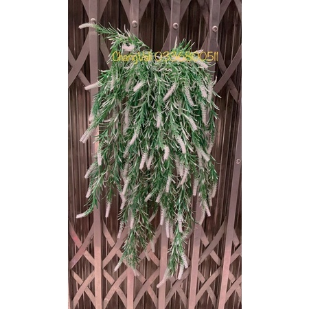 Cụm rủ treo tường-bụi rủ ớt trang trí,decor phong cách vintage