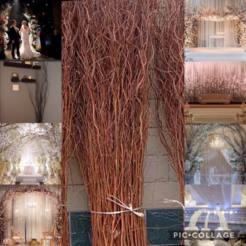 Cây khô nhánh cây khô trang trí nhánh cây trắng nhập khẩu