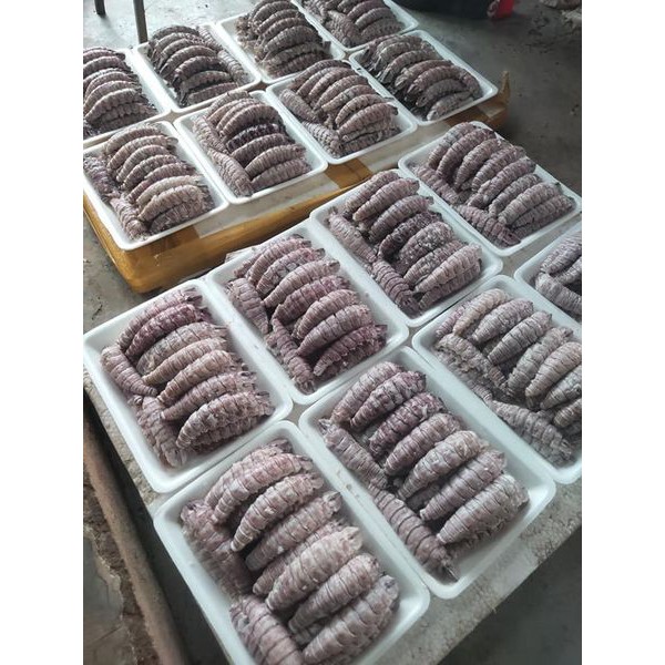 (DTFood-CHUYÊN SỈ) BỀ BỀ BÓC NÕN THƠM NGON HỘP 500GR TIỆN LỢI | BigBuy360 - bigbuy360.vn