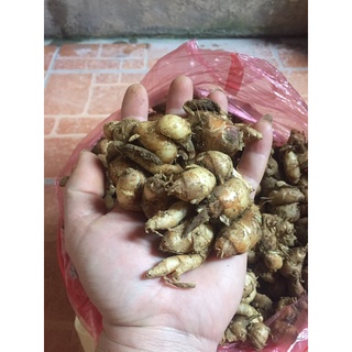 1kg củ địa liền rừng tươi