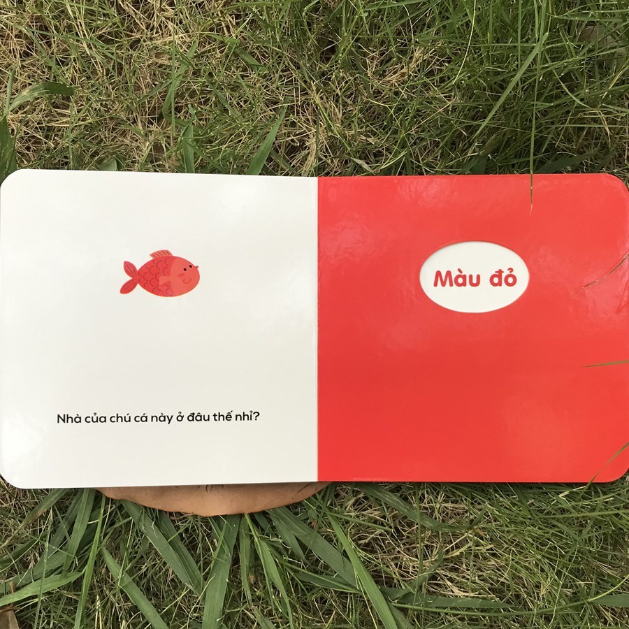 SÁCH - Ô Cửa Diệu Kì - Màu Sắc