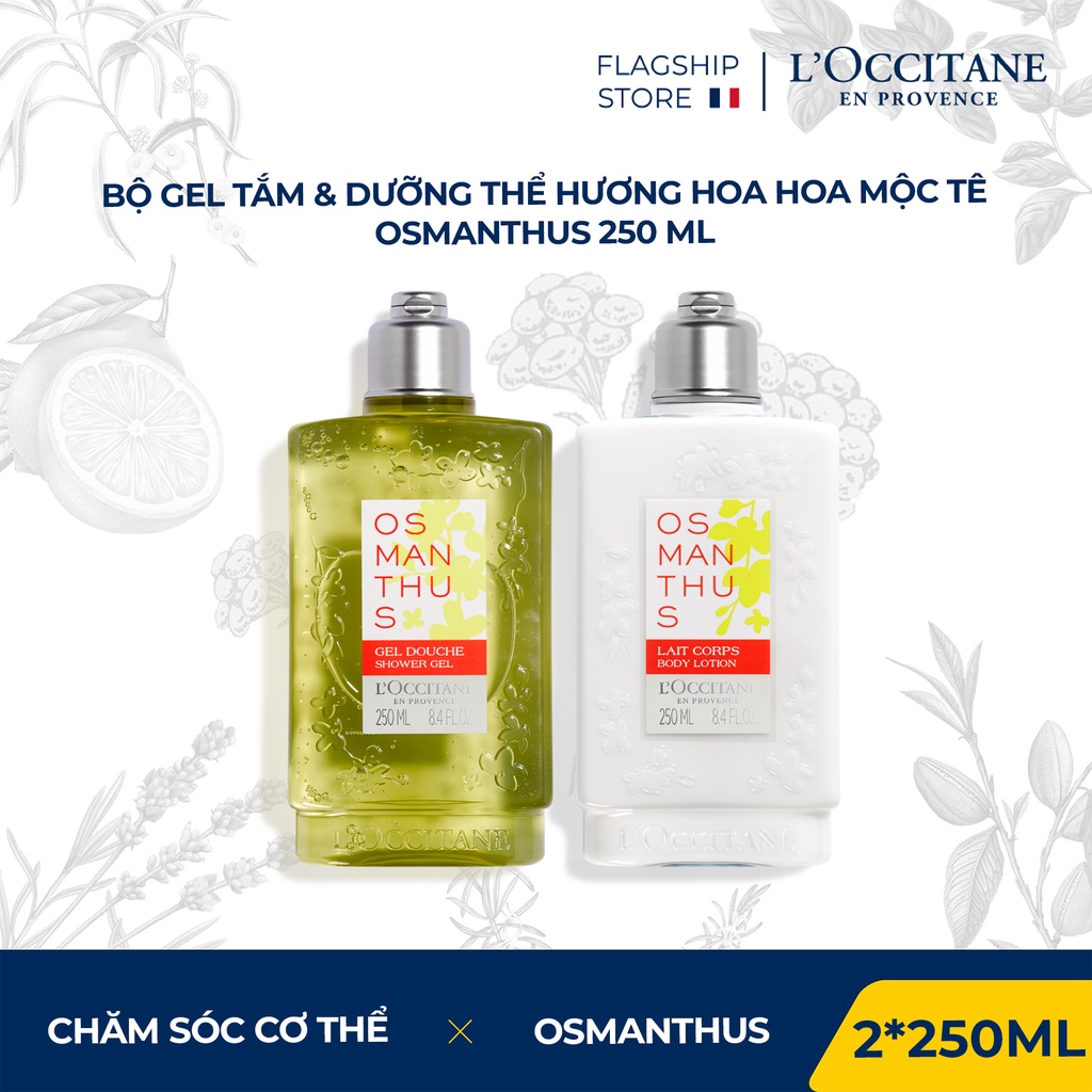 Bộ Gel Tắm &amp; Sữa Dưỡng Thể Hương Hoa Mộc Tê Osmanthus 250ml L'Occitane