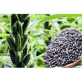 Hạt vừng đen  cam kết sạch không lẫn tạp chất, hạt mẩy, gói 200g_Đặc sản Xứ Nghệ