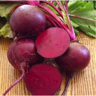 [Hạt giống Mỹ] Gói 100 Hạt giống củ dền đỏ Boro - tỷ lệ nảy mầm 95%