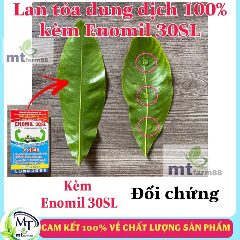 Thuốc Newmectin 146 WG - Chuyên Phòng Trừ Bọ Trĩ - Rầy Xanh - Rệp - Nhện đỏ - Dòi Đục Lá - Bọ Xít 9g