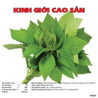 Hạt Giống Kinh Giới Cao Sản gói 5 gram, rau thơm dễ trồng, phát triển nhanh, hiệu quả cao, năng suất RT007