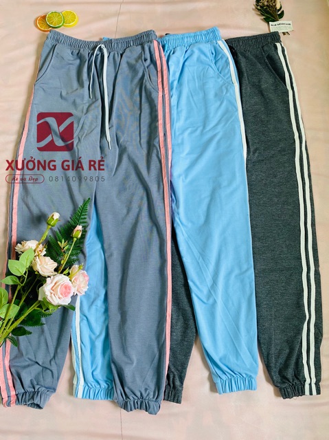 SET ÁO 3D + QUẦN JOGGER ĐỦ MÀU SIÊU ĐẸP