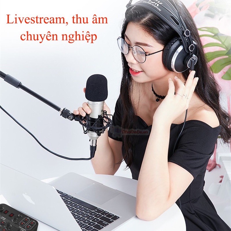 Mic ISK AT100 loại 1 chính hãng hàng siêu chất lượng Mic thu âm ISK AT100 Hoa Vinh bảo hành 6 tháng