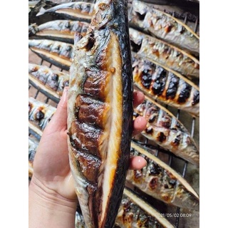 Cá nục nướng than hoa nghệ an