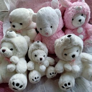 Gấu bông c như huỳnh