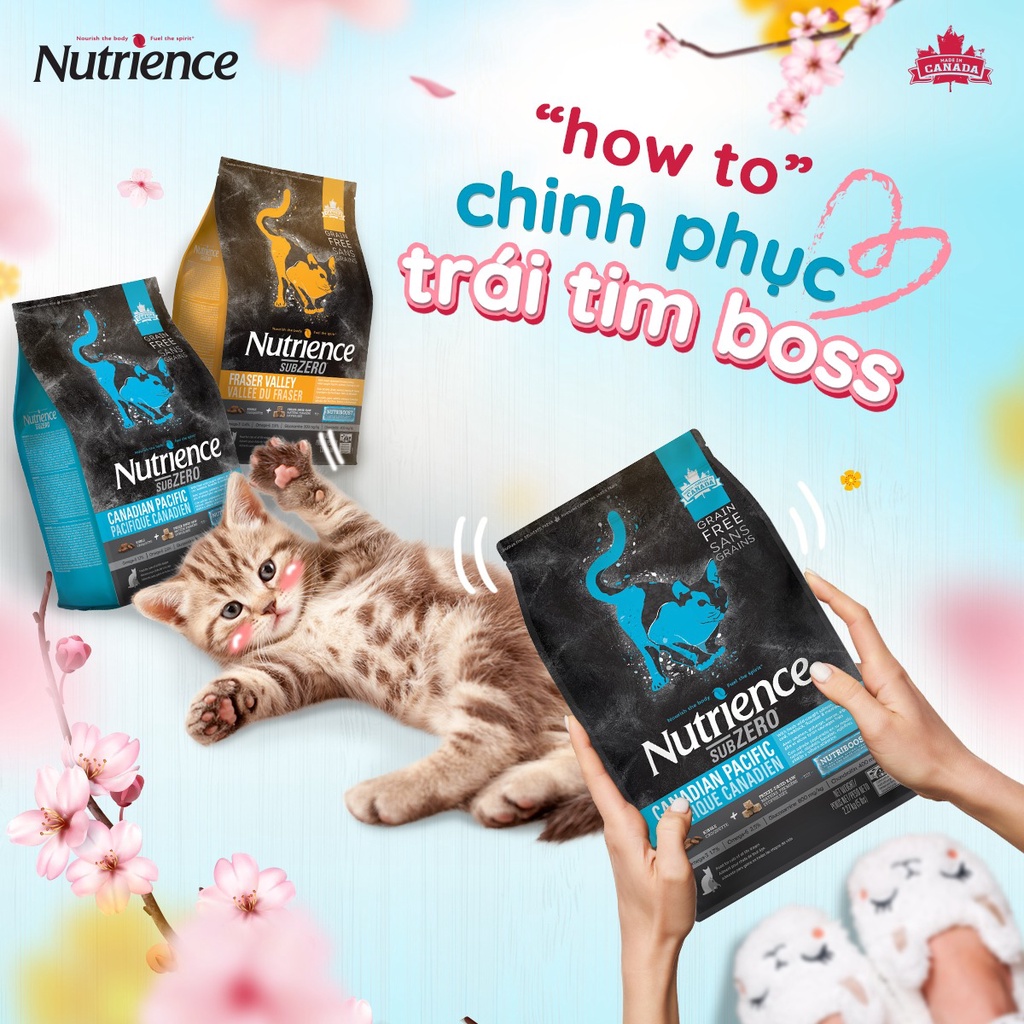 𝗨𝗿𝗯𝗮𝗻_NUTRIENCE SUBZERO_Hạt thịt thật cho mèo mọi lứa tuổi