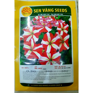 HẠT GIỐNG HOA DẠ UYÊN THẢO SAO ĐỎ CỦA HÃNG SEN VÀNG GÓI 0.5 GR
