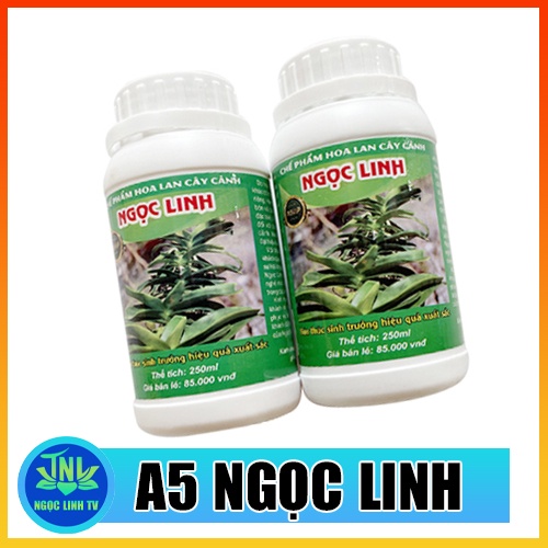 A5 VIP NGỌC LINH