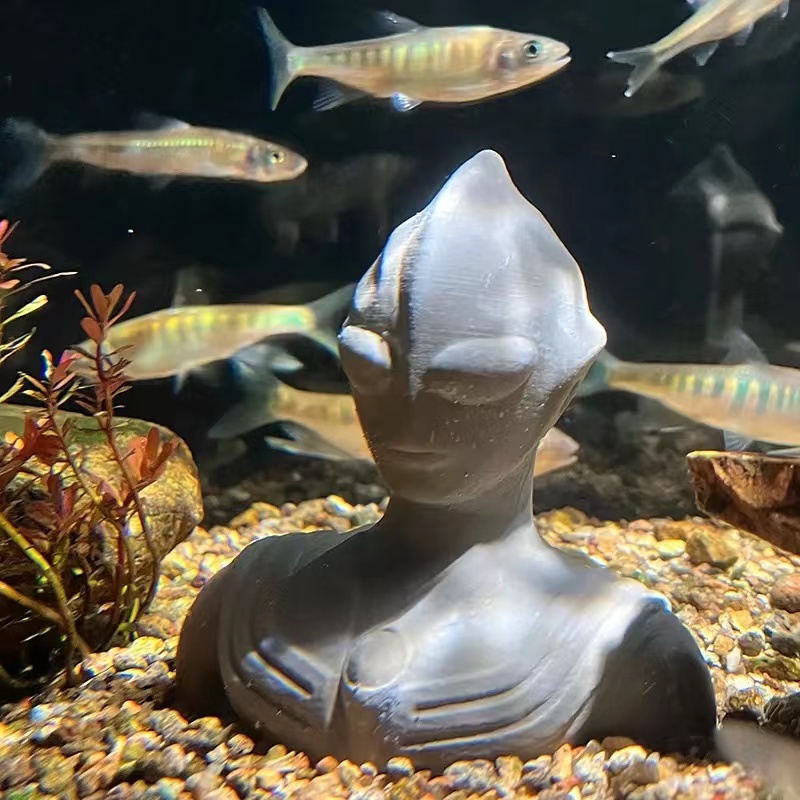 Trang Trí Hồ Cá Siêu Nhân Điện Quang