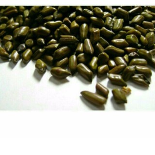 Si HẠT MUỒNG MUỒNG 50kg GIA 17900