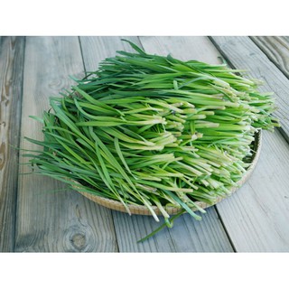 Hạt giống hẹ 100gr- Rau củ quả trồng tại vườn, sân thượng, nông trang, ban công