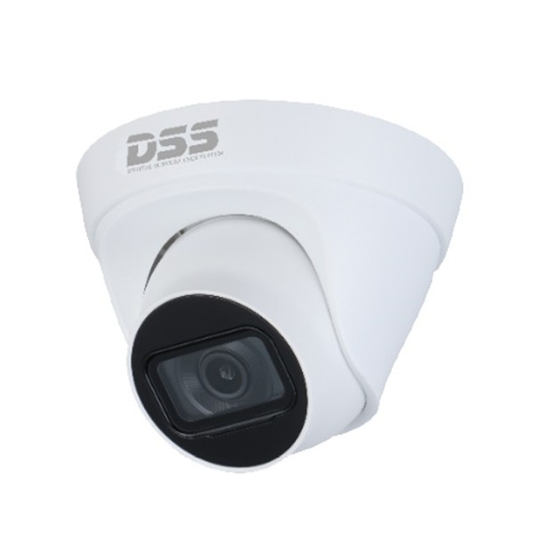 Camera IP DAHUA 4.0MP DS2431TDIP-S2