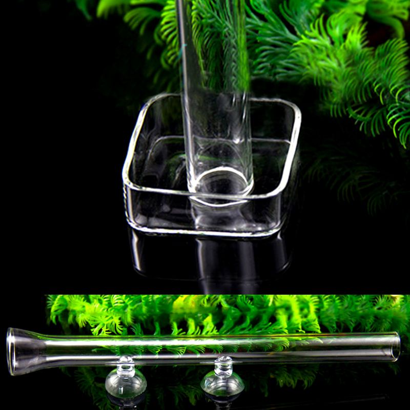 Dụng Cụ Cho Tôm Cá Bằng Thủy Tinh Dài 7.7in 17.7in