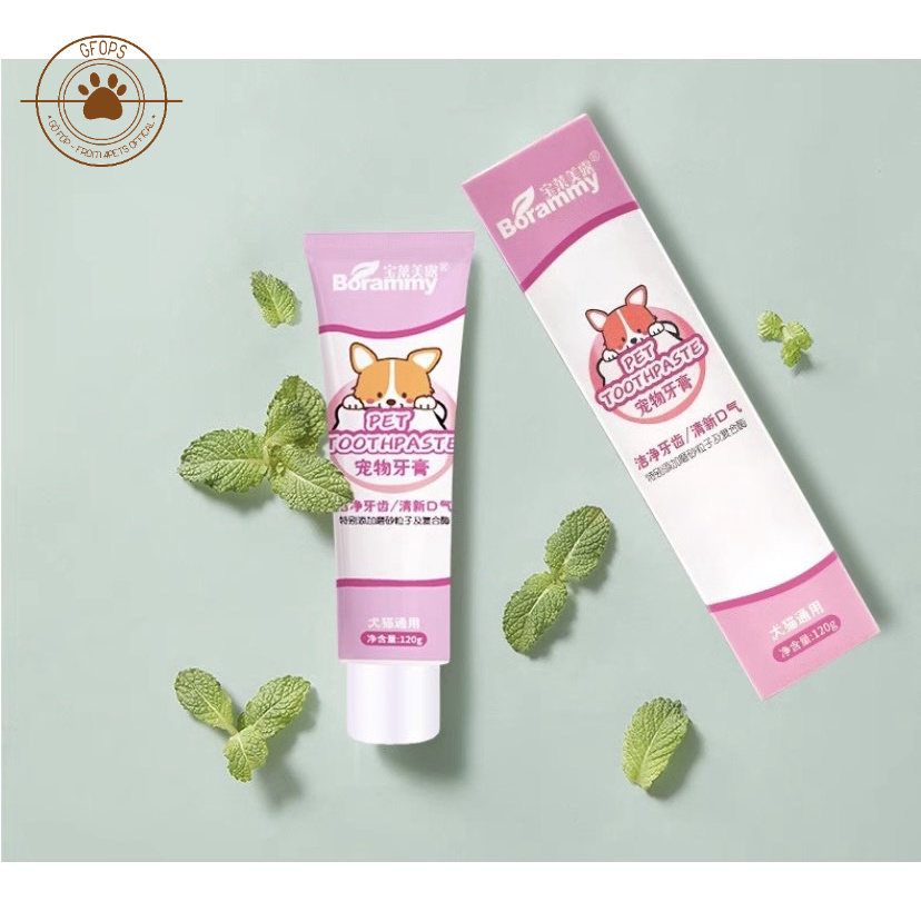 Combo kem đánh răng vài bàn chải silicon cho chó mèo, thú cưng Borammy , Đánh bay thúi miệng - 4pets official