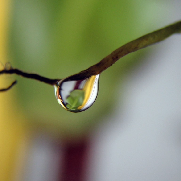 LUATPRO.COM, Cửa hàng trực tuyến | BigBuy360 - bigbuy360.vn