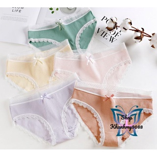 Quần lót nữ cotton gân tăm viền ren trắng dễ thương có chọn màu chọn size lớn Bigsize QL13