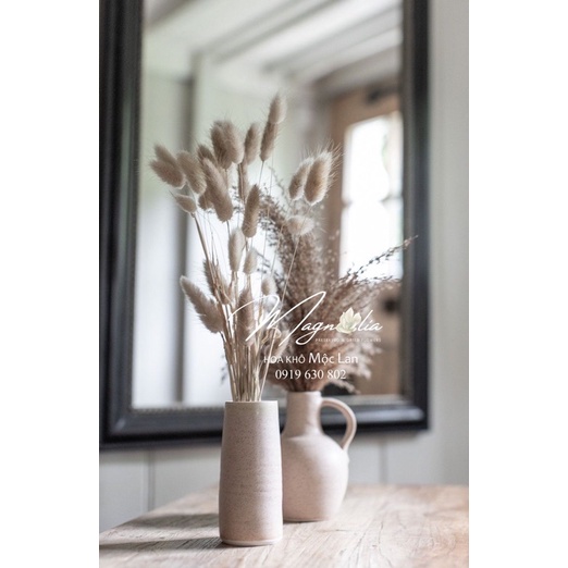 Cỏ đuôi thỏ khô trang trí ❤️FREESHIP❤️ Hoa khô decor phụ kiện trang trí chụp ảnh, quà tặng
