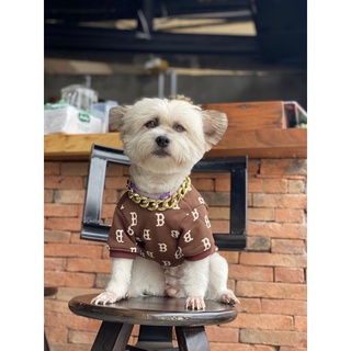 Áo NY cho chó mèo (thêm màu mới)