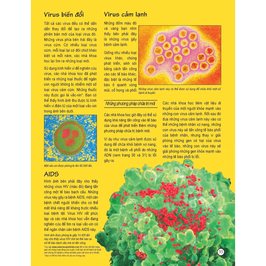 Sách - Complete Book of the Microscope - Thế giới qua lăng kính hiển vi (Usborne)