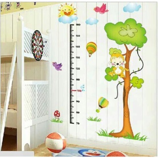 Decan thước đo chiều cao khỉ leo cây