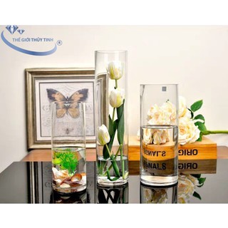 Bình Bông Thủy Tinh Trang Trí Dáng Trụ Tròn D15CM * H40CM