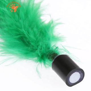 Bộ đũa thần kì làm ảo thuật