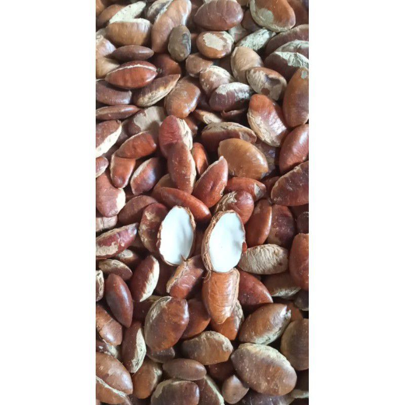 1KG Hạt Konia rang sẵn loại ngon