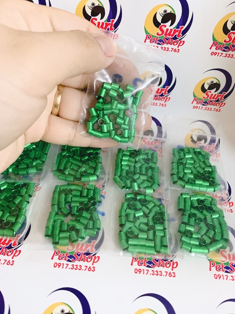 Vòng chân yến hót màu 2022