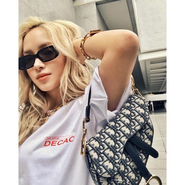 TÚI DIOR YÊN NGỰA