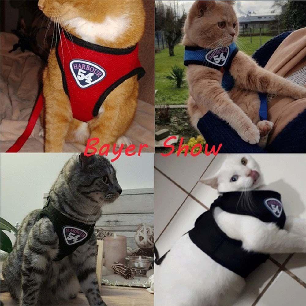 Áo Sát Nách Lưới Mềm Phản Quang Gắn Dây Dắt Thú Cưng Đi Dạo