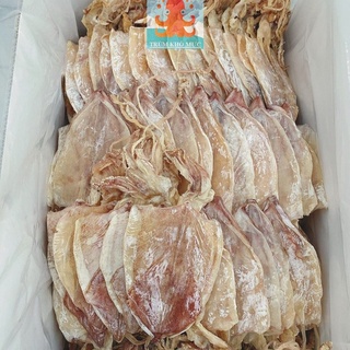ĐẶC SẢN MỰC KHÔ PHÚ QUỐC ( SIZE 35-45 CON /1 KG )