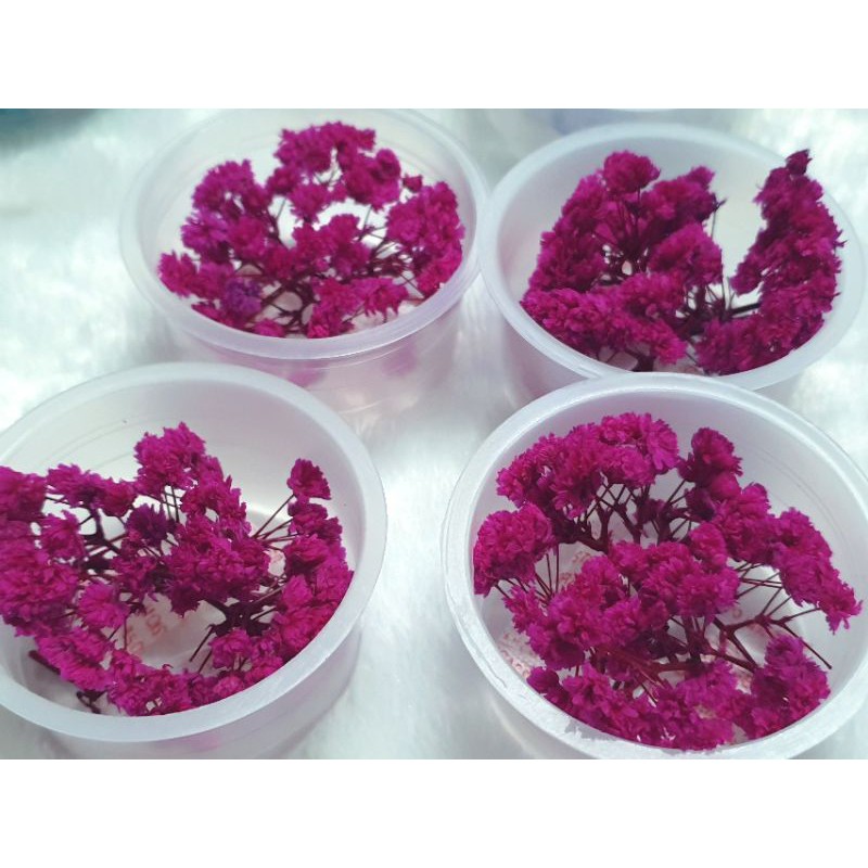 Hộp Hoa Gypsophyla paniculata khô đẹp hút hồn dùng ngành thủ công sáng tạo Resin