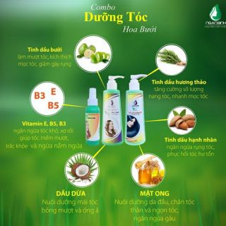 (Chính hãng) Combo Tinh dầu bưởi_Dầu gội bưởi và Dầu xả bưởi Ngân Bình