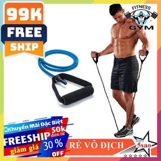 FREESHIP 🎁 Dây kéo đàn hồi 20 - 24 LB  ❤️ Dây ngũ sắc tập gym màu xanh