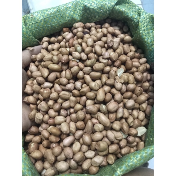 Đậu phộng cội sống 500gr/1kg