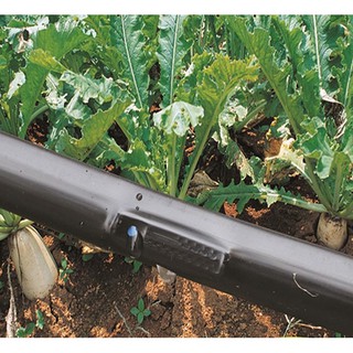 Dây tưới nhỏ giọt 16mm khoảng cách 10CM-CUỘN 100M