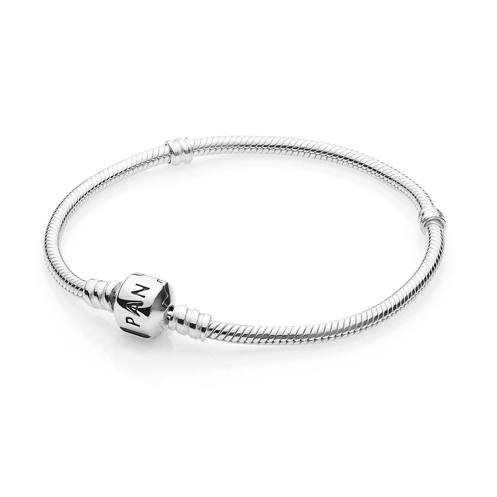 Vòng charm bạc, vòng tay Pandora charm bạc s925 có hộp đựng - Mã TSJ P01