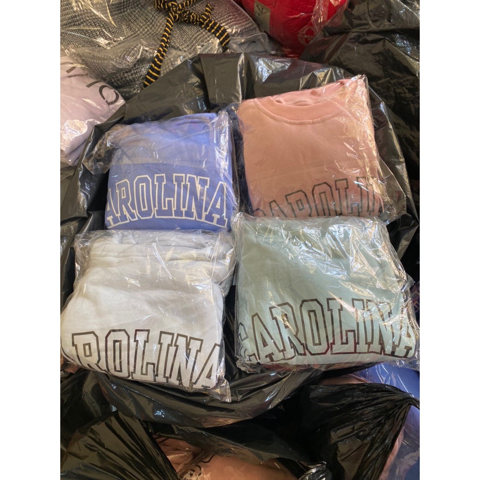 Áo sweater nữ phối logo chữ AROLINA siêu xinh [FREESHIP] Áo thun nữ dài tay 4 màu trắng,hồng,xanh dương,xanh lá GuuZ | BigBuy360 - bigbuy360.vn