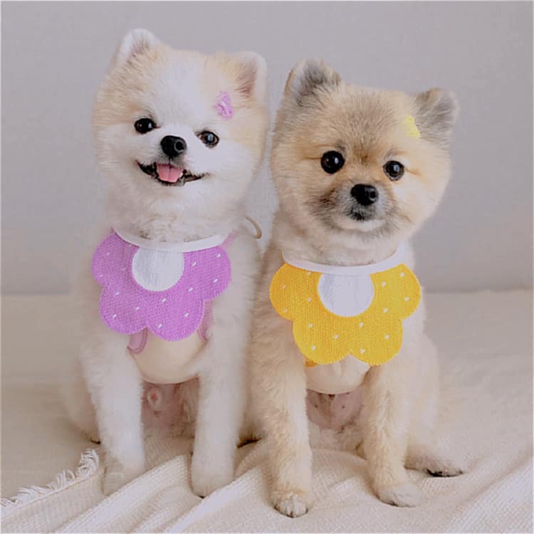 Yếm Xinh Cho Thú Cưng 2