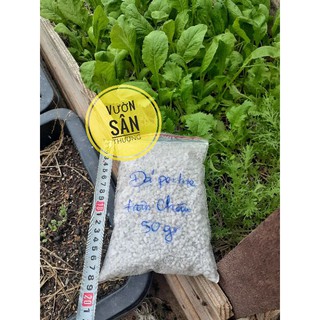 Đá Perlite, Trân Châu (Gói 50g) Dùng Trộn Và Trồng Sen Đá Xương Rồng, Trang Trí...